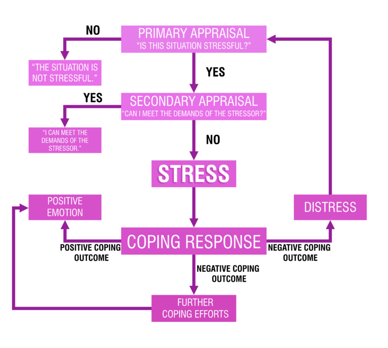 Cognitive appraisal best sale theory definition