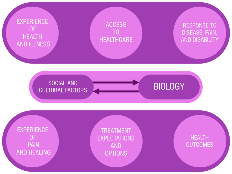 A diagram showing 'Social and Cultural Factors' interacting with 'Biology'. Surrounding this are six circles, containing the words 'experience of health and illness', 'access to healthcare', 'response to disease, pain, and disability', 'experience of pain and healing', 'treatment expectations and options', and 'health outcomes'. 