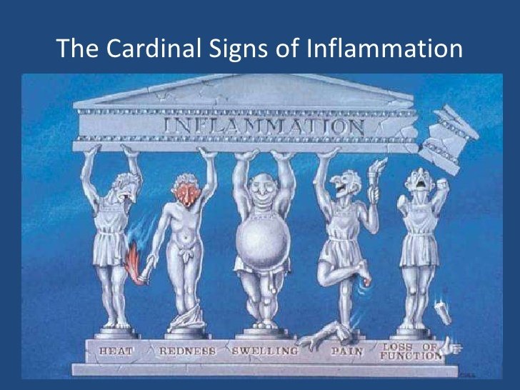 The 5 signs of inflammation