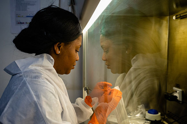 A technician dressed in a white laboratory coat and orange gloves puts her hands into a glass chamber in preparation for specimen analysis.