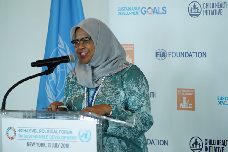 Woman talking at the “High-level political forum on sustainable development”