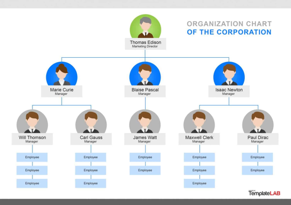 organization chart of the corporation