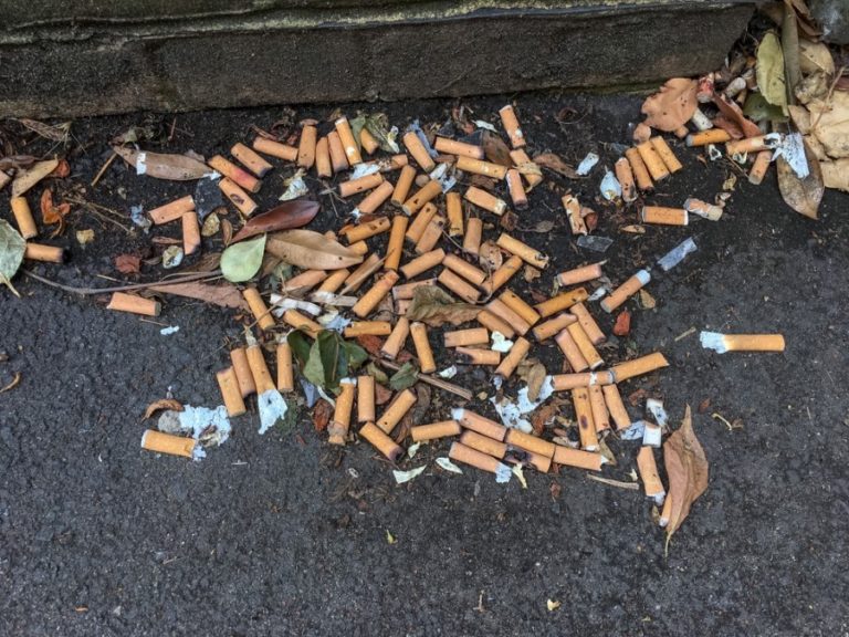 Multiple cigarette butts discarded on the ground. 