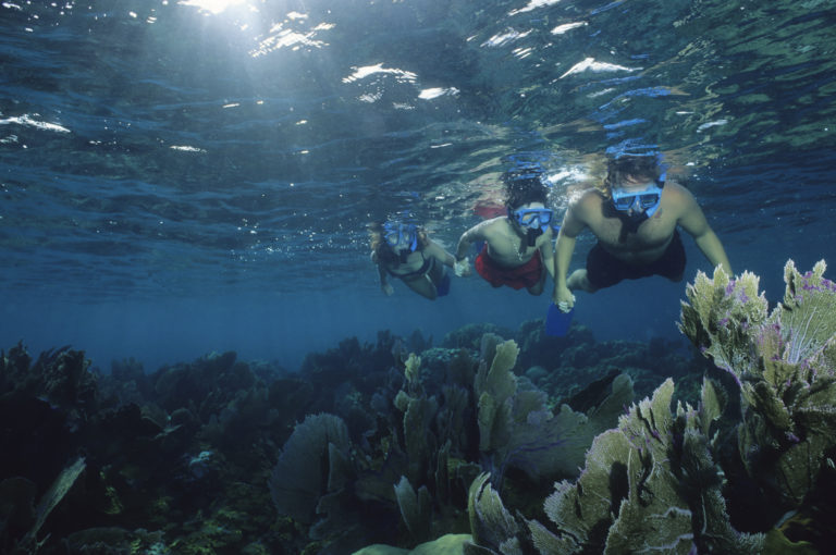 An underwater view of three people snorkelling across a reef.