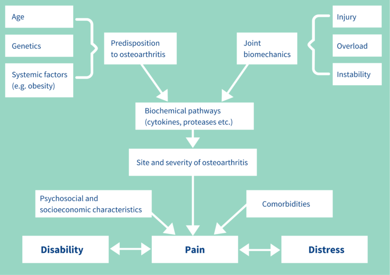 pathophysiology of OA