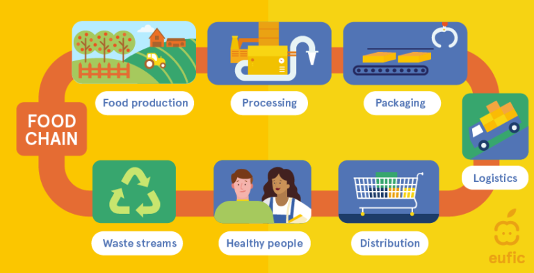 The Agri-Food Chain ©EUFIC