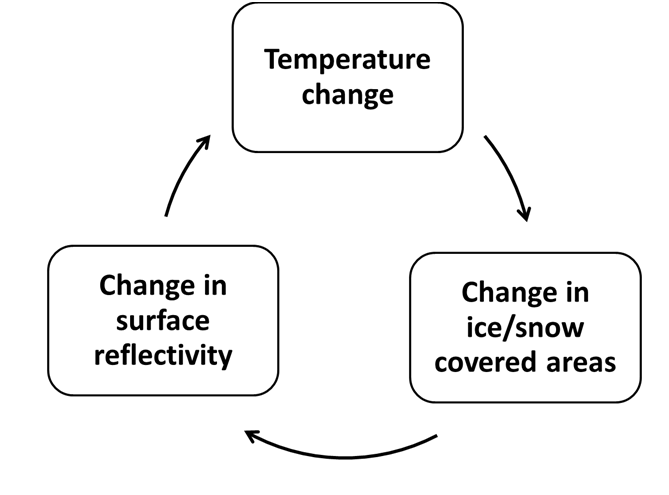 Circle diagram of albedo feedbacks.