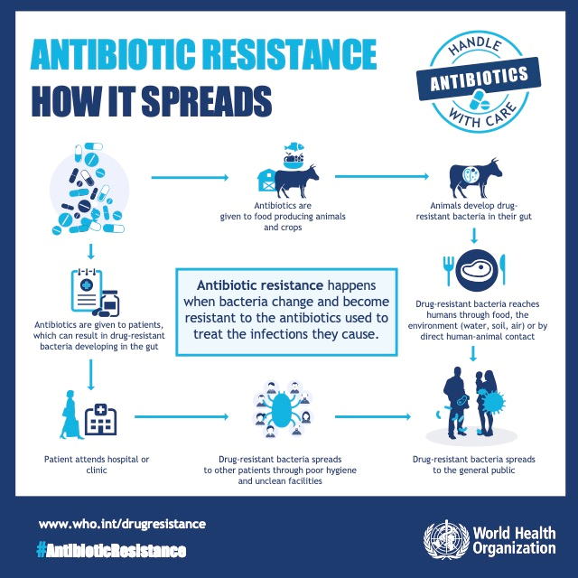 antibiotic resistance info-graphic