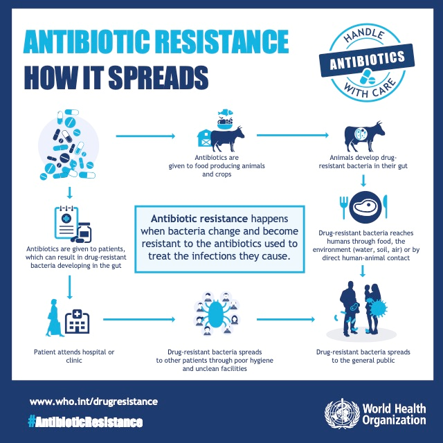 What is Antimicrobial Resistance (AMR)?