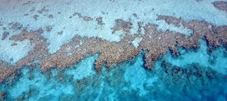 Aerial view of a coral reef in the Red Sea.