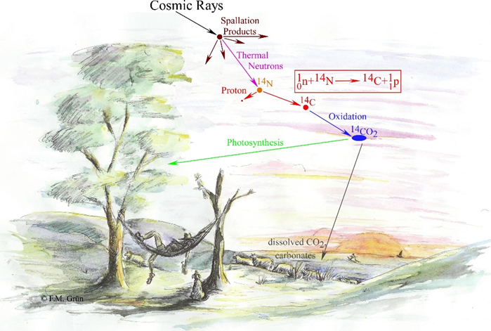 Cosmic rays interact with particles in the atmosphere, producing thermal energy and isotopes of nitrogen and carbon. These isotopes then enter their respective cycles and become invloved with the photosynthsis of plants and oxidation.