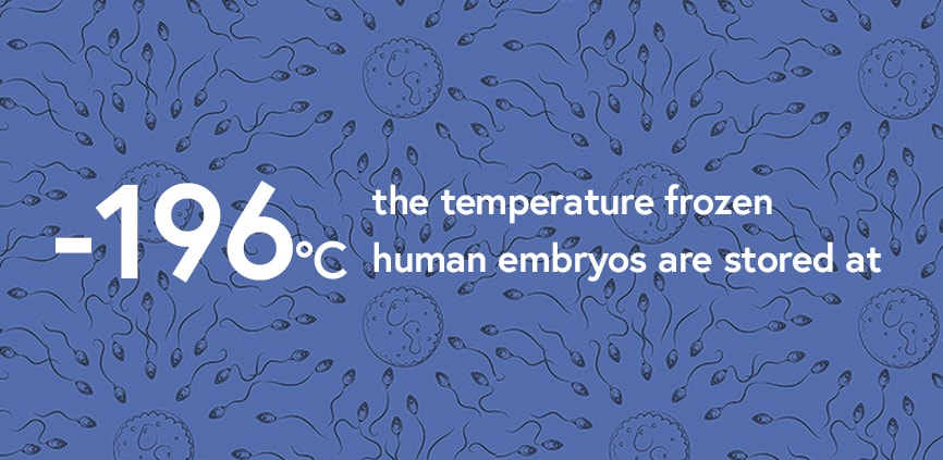 the temperature frozen embryos are stored