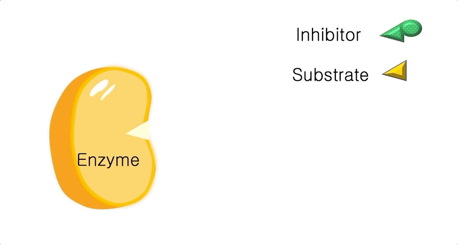 An animation of how competitive inhibition occurs. Substrate molecules are shown binding to the binding site of an enzyme. Then inhibitor molecules appear. These have some features that are the same as the substrate molecules, which allows them to bind to the same binding site as the substrate: the competition between the inhibitor and substrate shows the inhibitor bound and the substrate unable to access the enzyme binding site 