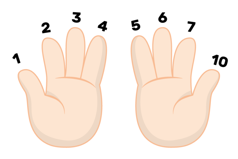 Counting on eight fingers, the numbers 1, 2, 3, 4, 5, 6, 7, and 10 are displayed