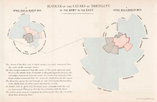 This image shows a graphical representation of the causes of death in the crimean war. the biggest cause of death is cholera and other preventable illnesses