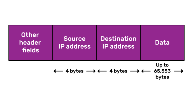 A simplified IP packet, consisiting of "Other header fields", a 4-byte long "Source IP address", a 4-byte long "Destination IP address", and up to 65,553 bytes of Data.