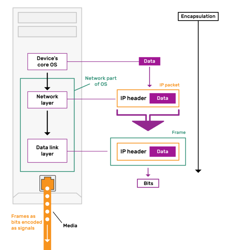 Diagram showing encapsulation of Data as it travels from device's core OS. At the Network layer it is encapsulated in an IP packet with an IP header. At the Data link layer this IP packet is encapsulated into a Frame. This bits that make up this frame are encoded as signals onto the network media.