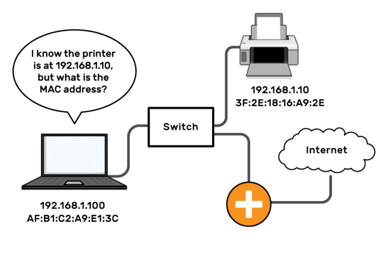 A laptop is connected to a switch, which is also connected to a printer and a router to the internet. The computer asks "I know the printer is at 192.168.1.10, but what is the MAC address?" Both the printer and laptop are labelled with both an IP address and a MAC address.