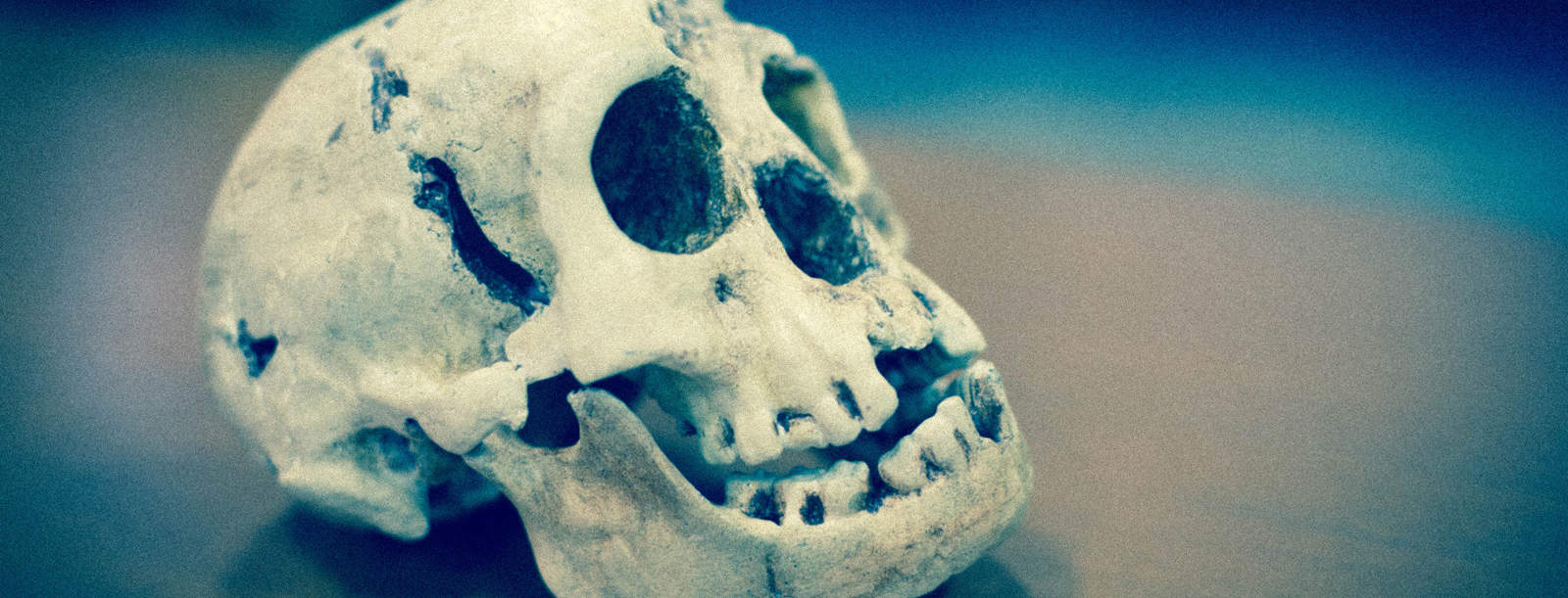 Homo-Floresiensis-Uncovered-FutureLearn