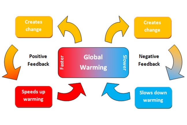 Positive and negative feedbacks that affect global warming
