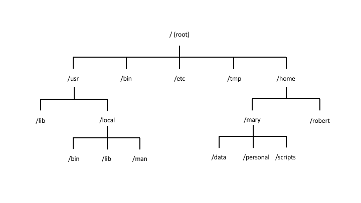hierarchical file system in Linux represented as tree of directories