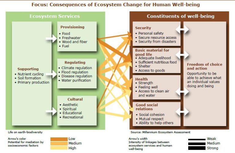 Consequences of Ecosystem Change for Human Well-being