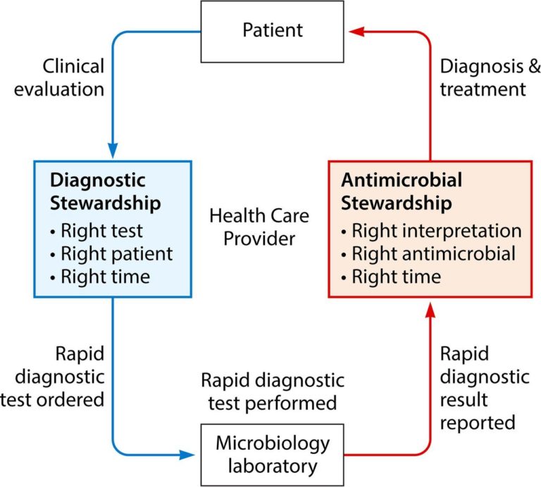 Cycle Schematic showing how diagnostic stewardship is part of an AMS intervention. Starting with the patient- they receive a clinical evaluation which leads to- Diagnostic stewardship involving right test, right patient, right time- leads to rapid diagnostic tests- rapid diagnostic test performed in the microbiology laboratory- results reported leads to- AMS right interpretation, right antimicrobial, right time leads to - diagnosis and treatment- for the patient