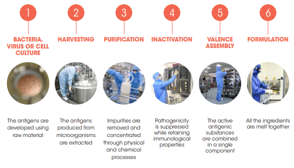 A timeline with different images representing each each of the vaccine manufacturing process