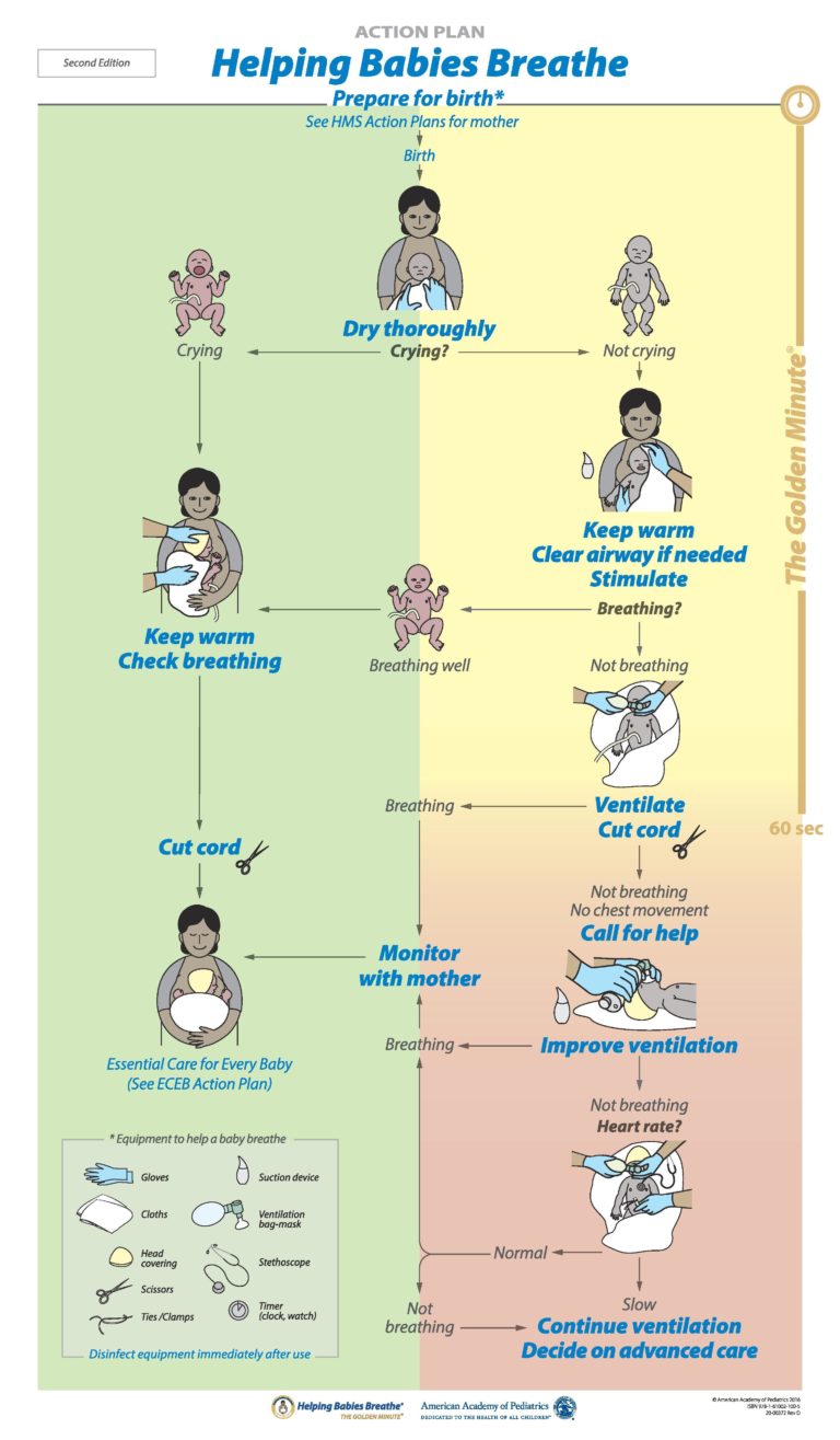 The Helping Babies Breathe newborn resuscitation protocol, which outlines the steps in resuscitating a newborn in the first minutes after they are born.
