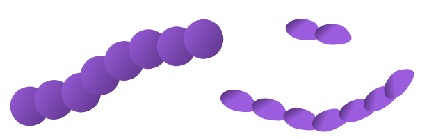 las cadenas de bacterias ocurren cuando las bacterias se alinean en secuencia una tras otra. Los círculos violetas están alineados en «cadena».