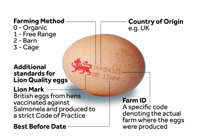 Image of an egg stamped with the code 'Lion Mark UK54321 BB APR' and explanatory labels added as follows. 'Lion mark': British eggs from hens vaccinated against Salmonela and produced to a strict code of practice. '3': Farming method 0 - Organic, 1 - Free Range, 2- Barn, 3 Cage. 'UK': Country of Origin. '54321' Farm ID: A specific code denoting the actual farm where the eggs were produced. 'BB 15APR': Best Before Date