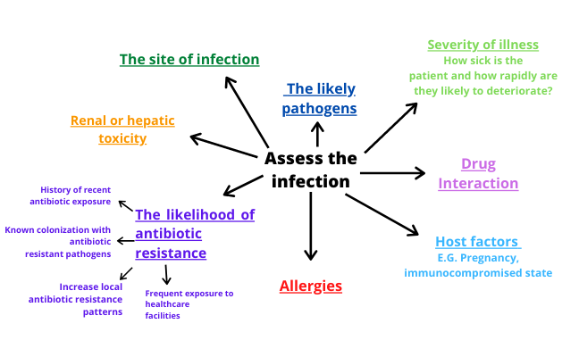 Assess the infection - the likely pathogens, severity of illness, drug interaction, host factors (e.g. pregnancy, immunocompromised), allergies, the likelihood of antibiotic resistance, renal or hepatic toxicity, and the site of infection.