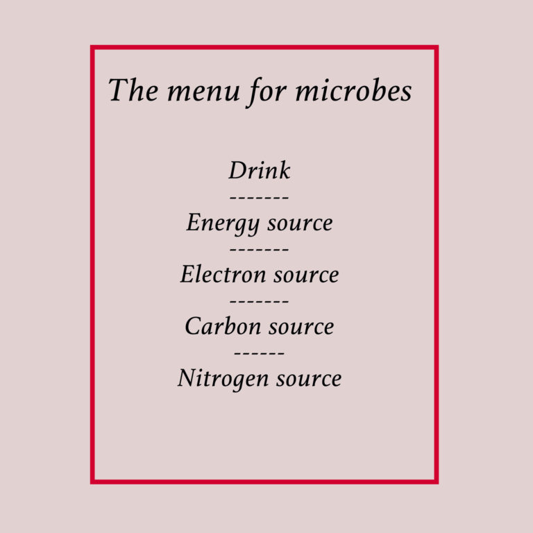 The menu for microbes: drink, energy source, electron source, carbon source, nitrogen source