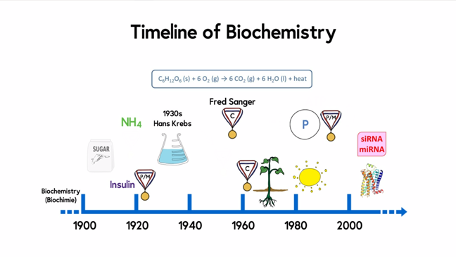 Timeline for biochemistry: metabolism and bioenergetics