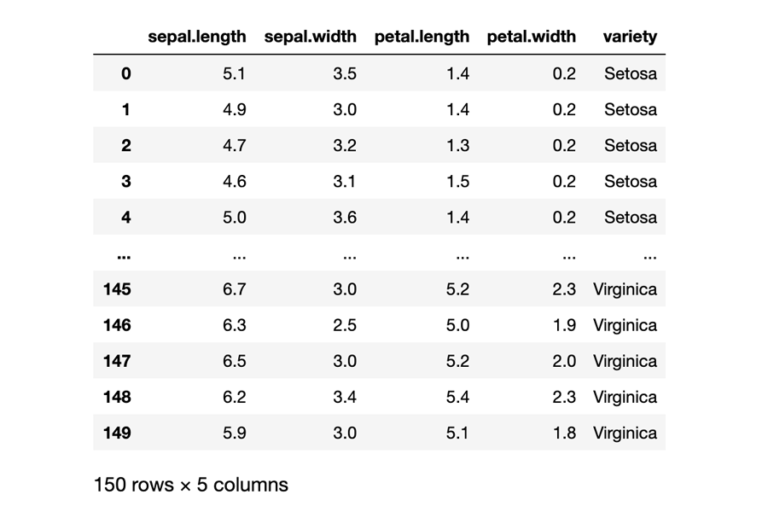 Screenshot of the jupyter notebook output displaying the relationship between Iris petal width and size. It shows a table with 6 columns and 12 rows. The first row contains the headings for columns 2 to 5. Column 2 heading reads "sepal.length". Column 3 heading reads "sepal.width". Column 4 heading reads "petal.length". Column 5 heading reads "petal.width". Column 6 heading reads "variety". Row 2 reads from left to right: 0, 5.1, 3.5, 1.4, 0.2, Setosa. Row 3 reads from left to right: 1, 4.9, 3.0, 1.4, 0.2, Setosa. Row 4 reads from left to right: 2, 4.7, 3.2, 1.3, 0.2, Setosa. Row 5 reads from left to right: 3, 4.6, 3.1, 1.5, 0.2, Setosa. Row 6 reads from left to right: 4, 5.0, 3.6, 1.4, 0.2, Setosa. Row 7 shows ellipses across all 6 columns. Row 8 reads from left to right: 145, 6.7, 3.0, 5.2, 2.3, Virginica. Row 9 reads from left to right: 146, 6.3, 2.5, 5.0, 1.9, Virginica. Row 10 reads from left to right: 147, 6.5, 3.0, 5.2, 2.0, Virginica. Row 11 reads from left to right: 148, 6.2, 3.4, 5.4, 2.3, Virginica. Row 12 reads from left to right: 149, 5.9, 3.0, 5.1, 1.8, Virginica. Below the table it reads "150 rows x 5 columns". 