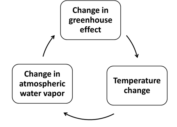 Circle diagram of water vapor feedbacks.