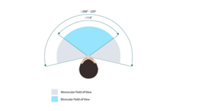 An image of a FOV