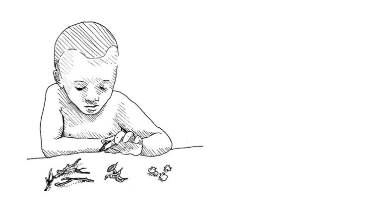 Illustration of a young boy sorting different leaves, twigs and seeds