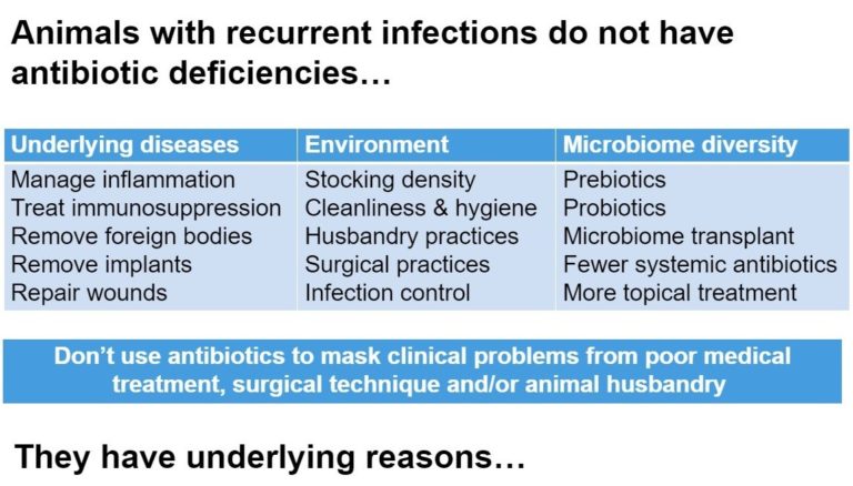 Some examples of how recurrent infections can come from underlying reasons.
