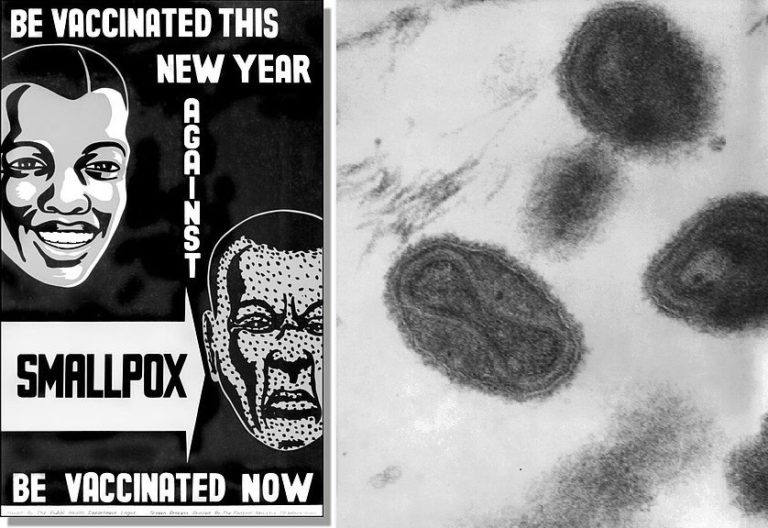 Left, smallpox poster. Right, image of the smallpox virus