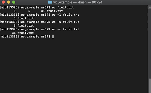 screenshot of examples uses of command wc
