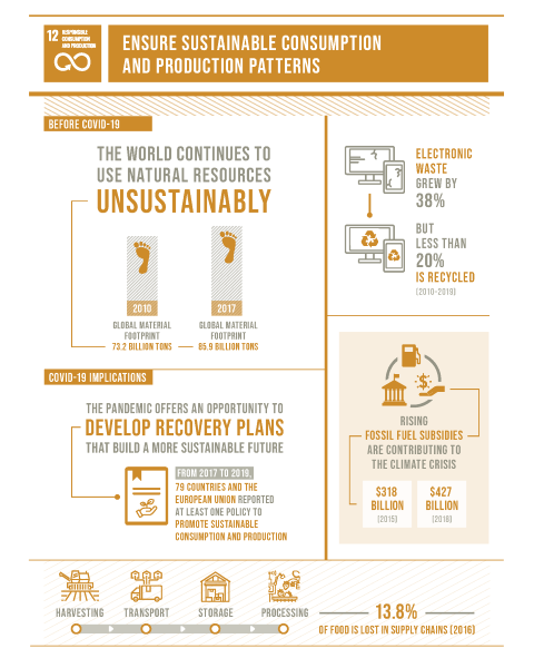 UN Sustainability Goal 12