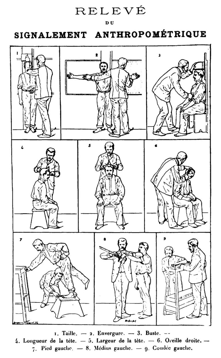 A page of illustrated instructions showing how to measure-up a criminal
