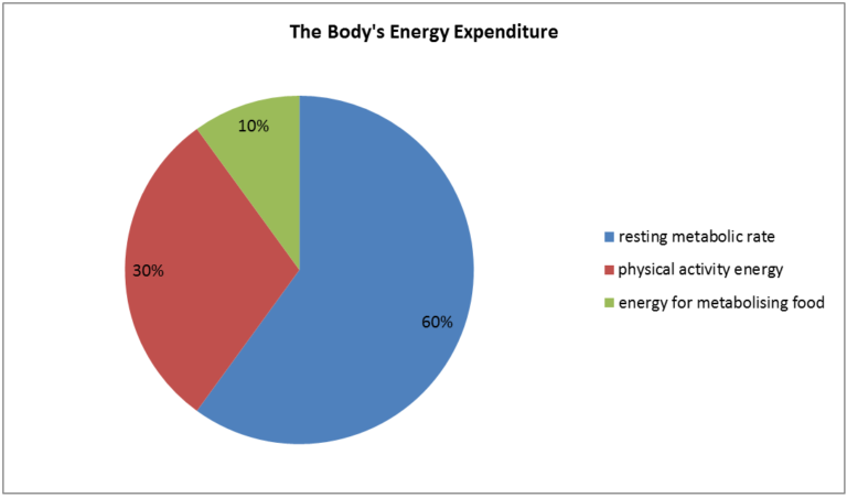 childhood obesity pie chart