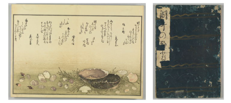 Shiohi no tsuto, 1 booklet illustrations by Kitagawa Utamaro 