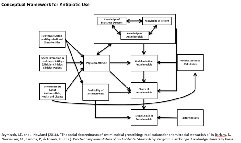 Flowchart-type image depicting potential factors in influencing the decision to use antimicrobials