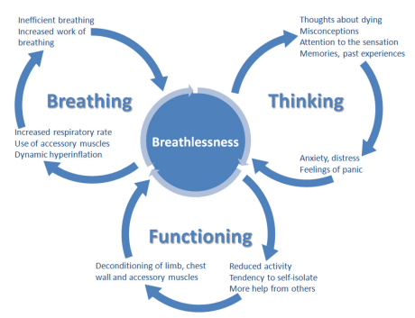 The Breathing, Thinking, Functioning clinical model