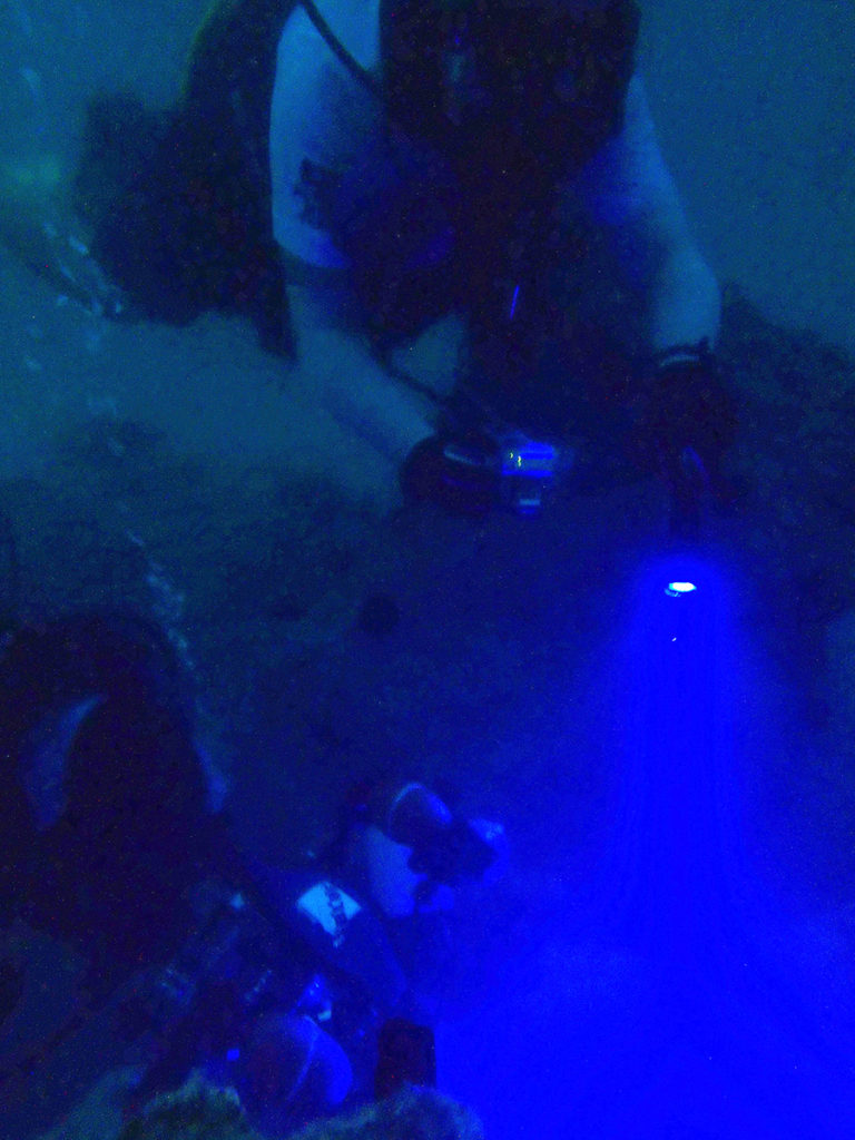 Divers underwater using a blue torch in dark water.