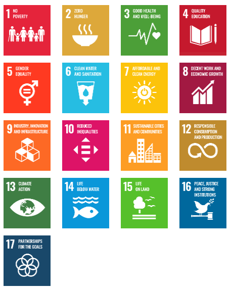 17 Sustainability Development Goals