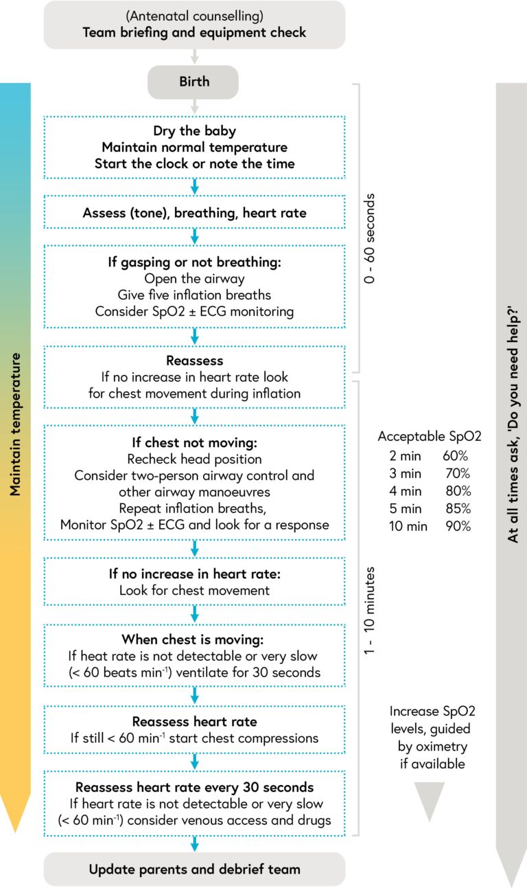 Algorithm showing the order of the neonatal team actions as they care for a preterm baby in the first 10 minutes of life, as described below